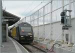 Die SBB Re 460 028 (Re 460 91 85 4 460 028-4 CH-SBB) tr�gt seit Mai 2026 die sehr gef�llige Werbedekoration in allen vier Landessprachen  Schweizer Wanderwege / Suisse Rando / Sentieri Svizzeri / Sendas Svizras . Ich k�nnte mir gut vorstellen, dass die Lok mit der gelben Front an der Spitze des Zuges noch besser aussieht. 
Die SBB Re 460 028 ist mit dem IR 95 1712 von Brig nach Gen�ve A�roport und konnte beim Halt in Lausanne fotografiert werden. 

4. Juni 2026