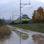 Schweizer Zucker AG, Zuckerfabrik Aarberg, Kampagne 2025: Re 465 010-7 + Re 465 ? + 20 Eaos/Eas, Zug 67154 Aarberg-Yverdon, Leerwagenzug für den Rübenverlad, Lyss, 16. Oktober 2025. Eine Wasserlache auf einem Flurweg am Bahngeleise - eine reizvolle fotografische Herausforderung: Gewünscht wären Windstille, viel spiegelnde Fläche, diffuses Sonnenlicht, etwas Zeichnung am Himmel, ein passender Zug ... Einen nachhaltigen Eindruck hinterlassen haben aber auch zwei Gartenbauarbeiter, die durch die Pfütze stapften, und ein Landwirtschaftstraktor, der durch das Wasser pflügte in doppelter Grösse ...