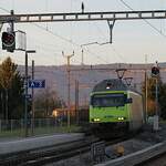 Schweizer Zucker AG, Zuckerfabrik Aarberg, Kampagne 2025: Re 465 010-7 + Re 465 012-3 + 18 Eaos/Eas, Zug 67155 Yverdon-Aarberg, Busswil, 4.