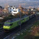 Schweizer Zucker AG, Zuckerfabrik Aarberg, Kampagne 2025, R�benz�ge von Gerd Weber 