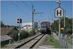 Die BLS Re 465 003 verl�sst mit ihrem RE nach Bern die Zihl-Br�cke und wird gleich bei der Haltestelle  Zielbr�cke  durchfahren, von dessen Bahnsteig aus dieses Bild entstand.