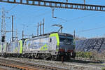 Doppeltraktion, mit den BLS Loks 475 425-5 und 485 015-2 durchfährt am 03.03.2026 den Bahnhof Pratteln.