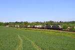 Belgien
Lok 475 424 von BLSCN zieht Lok 475 432 und einem trailerzug, Wonck
22/5/2026