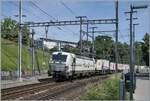 Gerade bei der Abzweigstation Jonction  angekommen, hatte ich kaum Zeit die railCare Rem 476 454  Valais Wallis  mit ihrem COOP G�terzug richtig zu fotografieren, so dass es zu diesem Schnappschuss