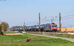 Re 482 015 mit dem DGS 49013 (Kork - Rümlang) bei Niederschopfheim 19.3.26