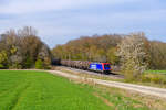 482 037 SBB Cargo mit einem Kesselzug bei Steinach b. Rothenburg Richtung Ansbach, 20.04.2022