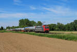 Riegel am Kaiserstuhl - 14. Mai 2025 : SBBCI 482 012  Wartung mit Durchblick  mit einem Kesselzug nach Basel unterwegs.
Link zum Video : https://www.youtube.com/watch?v=7ZA9K_5mHS0&t=37s