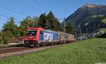 Unter dem Rigi konnte ich am 29. Mai 2026 die SBB Cargo 484 003 mit der �bergabe von Altdorf (UR) nach Rotkreuz mitten im sch�nsten Abendlicht ablichten. 