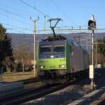 Schweizer Zucker AG, Zuckerfabrik Aarberg, Kampagne 2025: Re 485 013-7 + Re 485 010-3 + 24 Eaos/Eas, Zug 69455 Chavornay-Aarberg, Busswil, 3. Januar 2026. 