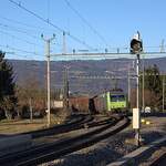 Schweizer Zucker AG, Zuckerfabrik Aarberg, Kampagne 2025, R�benz�ge von Gerd Weber 