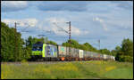 BLS Cargo 485 001 am 19.05.2026 mit einem KLV-Zug bei Th�ngersheim im Maintal.