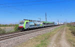 Heitersheim - 11. April 2025 : BLS 486 502 mit eine Rolende Landstrasse von Freiburg nach Novara. 

Link zum Video : https://www.youtube.com/watch?v=o5KXy9Er8SU