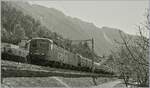 Dem Gegenlicht geschuldet, zeige ich dieses Bild in S/W: die SBB Re 6/6 11624 (Re 620 024-0)  Rothrist  ist kurz nach Villeneuve mit einem Kesselwagenganzzug auf dem Weg in Richtung Lausanne. 

2. April 2026e 