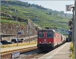 Die noch rote SBB Re 6/6 11637 (Re 620 037-2)  Sonceboz-Sombeval  f�hrt mit dem  Spaghetti  Zug durch den Bahnhof von Rivaz. Der Zug ist auf dem Weg von Torino via Vallorbe nach Frankreich und bef�rdert (in der Gegenrichtung) Getreide, welches in Italien zu Teigwaren verarbeitet wird, was den Namen  Spaghetti-Zug  erkl�rt. 

12. August 2026