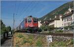 Die SBB Re 6/6 11665 (Re 620 065-3)  Ziegelbr�cke  ist bei Ligerz auf der Fahrt in Richtung Biel/Bienne.