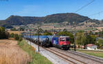 Re 620 081 mit dem 69547 (Basel SBB RB - Will G�terbahnhof) bei Frick 4.9.26