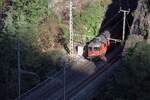 Am fr�hen morgen des 12.08.2026 erscheint die Front der Lok kurz im Sonnenlicht.