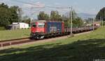 Am 27. Mai 2026 bespannte die SBB Cargo 620 028 einen Stahlzug aus Emmenbr�cke. Bei Sempach-Neuenkirch konnte ich das Schweizer Urgestein auf den Chip bannen. 
