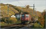 Die Ae 6/6 11419 (Appenzell IR) erreicht mit einem Güterzug Lutry.