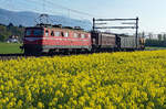 SBB Historic: Rollmaterialüberfuhr Olten-St. Maurice vom 12. April 2017 mit Ae 6/6 11425, Ae 3/6 I 10700, Z4i 961, Ucs 276 bei Bettlach.
Foto: Walter Ruetsch