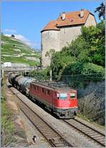 Beim Château de Grérolles bei Rivaz ist diese SBB Ae 6/6 11472 mit einem Güterzug Richtung Lausanne unterwegs.
