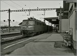 Die Ae 6/6 11419 Appenzell Innerrhoden mit einem Güterzug in Bex am 10 Jan. 2008.
