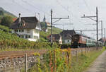 SBB Historic.
Teamfahrt des Teams 10439 Historische Loks Olten vom 25. September 2021.
3-Seenfahrt mit der 100-jährigen nur sehr selten im Einsatz stehenden Be 4/7 12504.
In der herrlichen herbstlichen Landschaft bei Schafis.
Die Weinlese 2021 beginnt am Montag den 27. September.
Foto: Walter Ruetsch