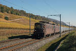 ZUCKERRÜBENKAMPAGNE AARBERG 2018
Doppeltraktion Re 425 mit Leermaterialzug bei Cressier auf der Fahrt nach Chavornay am 22. Oktober 2018.
Foto: Walter Ruetsch 