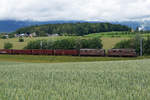 Zwei BLS Re 425 brachten am 19. Juni 2020 einen langen Güterzug von Domodossola nach Gerlafingen.
Erlegt wurde er zwischen Solothurn und Biberist.
Foto: Walter Ruetsch