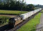 BLS: Re 4/4 181  INTERLAKEN  mit einem Containerzug im Gegenlicht zwischen Selzach und Bettlach am 26.