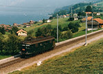 SBB: TEE Re 4/4: Lokzug mit der Re 4/4 I 10050 bei Faulensee im Sommer 1988.