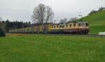 Doppeltraktion Rheingold Re 421 387 und TEE Re 421 393 von Trans Rail AG  mit einem Holzzug nach Menznau bei Gondiswil am 4.
