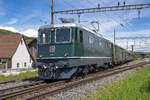 Re 4/4 II 11173 des dsf bei der Ausfahrt in Rekingen AG in Richtung Zurzach, aufgenommen am 29.04.2023.