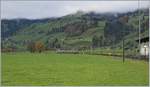 Die BLS Re 4/4 II 501 mit ihrem RE 4064  GoldenPass  im Simmental von Zweisimmen nach Spiez unterwegs kurz vor Boltigen.