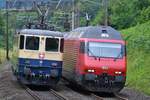 Re 421 387-2 als Lokzug auf dem Rückweg nach Oensingen trifft Re 460 047-4 im Rupperswiler Wald am 19.06.2020.
