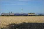 Re 4/4 II 11387 im Markgräflerland auf ihrem Weg nach Berlin. Der Blick reicht bis zum 40 km entfernten großen Belchen im Elsass. Auggen, Juli 2020.