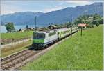 Die BLS Re 4/4 II 502 ist bei Faulensee mit dem RE 4073 von Interlaken Ost nach Zweisimmen unterwegs.

19. August 2020