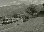 Die BLS Re 4/4 II 504 ist kurz vor Spiez mit ihrem RE von Interlaken Ost nach Zweisimmen unterwegs.