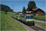 Die BLS Re 4/4 II 502 mit dem GoldenPass RE 4068 vom Zweisimmen nach Interlaken Ost.
14. August 2016