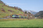 BLS Re 420 501 ist mit ihrem Golden Pass Line EW III Pendel unterwegs als RE 4065 von Interlaken Ost nach Zweisimmen und konnte hier am 07.11.2020 bei Grubenwald von mir aufgenommen werden.
