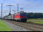SBB - 420 147 mit Güterzug unterwegs nach Olten  bei Lyssach am 02.09.2022
