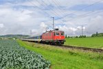 Gottardo 2016 Ersatzverkehr; Da diverse EWIV Pendel am und im Gotthard gebraucht wurden, verkehrten am Wochenende 04./05.06.2016 3 verschiedene EWI/II Pendel auf den IR Zürich-Konstanz.