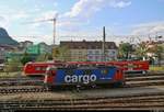 Re 4/4 II (421 392-2) der SBB Cargo rangiert im Bahnhof Singen(Hohentwiel).