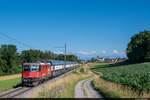 Re 420 226 und Re 420 217 sind am 30.06.2020 mit einer HVZ-D Komposition unterwegs als S 19 19970 Pfäffikon ZH (PFZ) nach Dietikon (DT)