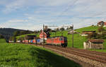 Re4/4'' 11163 + Re6/6 11666 mit Güterzug am 14.10.2014 bei Immensee