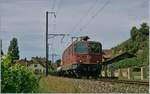 Die SBB Re 4/4 II 11166 mit einem Güterzug Richtung Biel/Bienne kurz nach Ligerz.