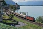 Die SBB Re 4/4 11248 (Re 420 248-7) fährt mit einem Güterzug bei Veytaux in Richtung Lausanne.
9. August 2017
