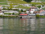 SBB - Re 4/4 420 298-2 mit Güterzug unterwegs am Lac Leman bei St. Saphorin am 25.09.2017