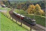 Was hier so hübsch durch die Landschaft surrt, war das grosse Problem beim Suchen der Fotostelle: Der Fotozug, bestehend aus der Re 4/4 II 11161 Wr und A, welche den Dampfzug auf dem linken Gleis begleitete um den Fahrgästen Fotos der Dampffahrt zu ermöglichen. 
Hier bei Intschi konnte das Problem umgangen werden, da Baustellenbedingt hier nur ein Gleis genutzt werden kann.
21. Okt 2017