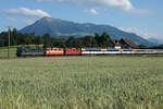 Jahresrückblick 2017
von Walter Ruetsch, Riedholz
JUNI
SBB: Schweizerische Bundesbahnen. 
Gotthard Panoramazug mit bunter Dreifachtraktion bei Rotkreuz unterwegs am 10. Juni 2017.
